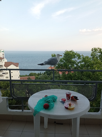 IMG_20230708_192323_resize_45.webp IMG_20230708_192323_resize_45.webp