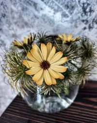 2453_Gallery.webp