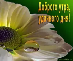 8dcd77169e07814814e8a8948027bb71.webp