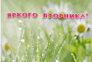 C3FF8611-1BA4-4140-8108-40746BC467F4.webp