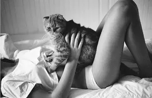 B0F06A38-37F5-40EC-A809-C80C1991C4B9.webp