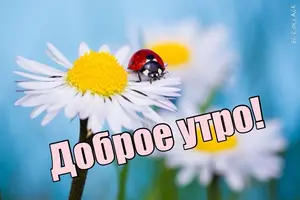 14.webp