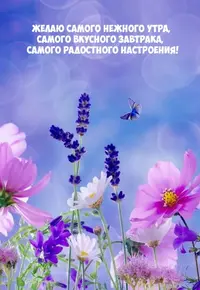 4D113AA3-93FD-42A6-96A7-704C77540771.webp