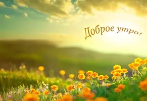 11-13.webp