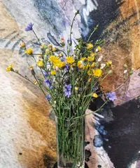 85557_Gallery.webp