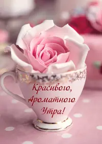 9AA62C61-7FD2-4593-A49A-72A38A7EBD57.webp