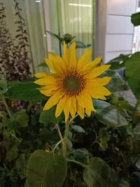 IMG20230818204116.webp