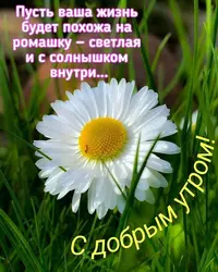 dobroe-utro-iun-010623-5.webp