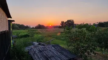 20230819_195345.webp