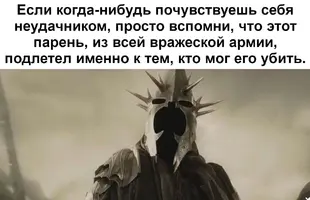 1691319924157231048.webp