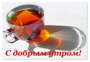 2408588584.webp