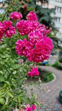 20230623_115955.webp