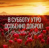 ocr.webp