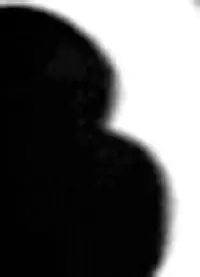 113.webp