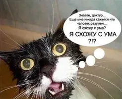 image-9.webp