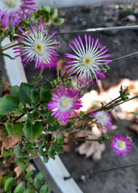27___Gallery.webp