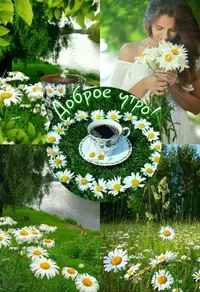 EFC0BDC9-8547-4FD5-AA8B-167F9C7989D9.webp