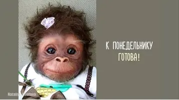 AB3793E8-54DB-4FEF-A916-02F33F74C393.webp