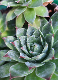 94848_Gallery.webp