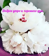 96D4C9F2-6DD4-4AA4-B2F7-527E7DC0B26E.webp