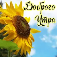 f3e6a41511aef1f50b41b3d671e90a7b.webp