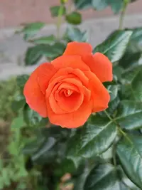 20230827110757.webp