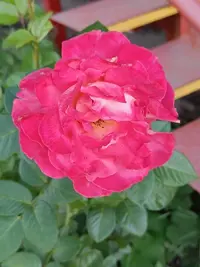 20230827110939.webp