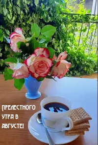 31252886-C8FB-4E7E-A316-FE9AC9ABC1FD.webp