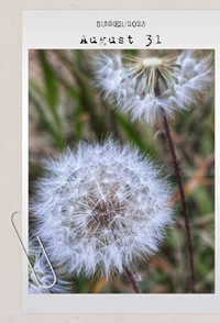 31_Gallery.webp