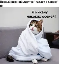 1693336157155483592.webp