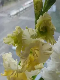 20230831181615.webp