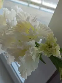 20230831181629.webp