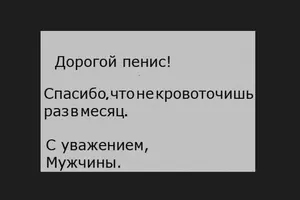 CB0E1687-2779-4853-91DC-E1A9CE001A37.webp