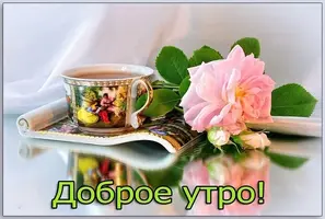 1660866151_56.webp