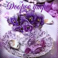 1680359469.webp