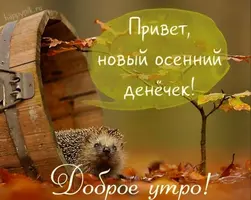 B6D45975-B36F-4615-8611-8473D26A0C59.webp