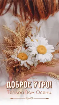 18768fb077776f28dc63349fd91fc08a.webp