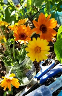 1700_Gallery.webp