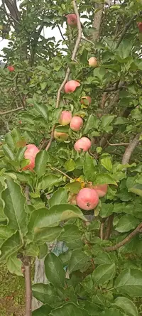 IMG-20230903-WA0000.webp