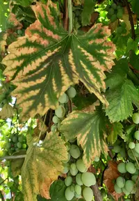 7.09_Gallery.webp