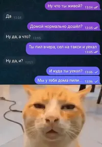 1693930908279721483.webp