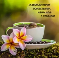92EAF373-E765-42B8-926B-A6ED51FBA04B.webp