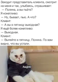 1694153872125981808.webp