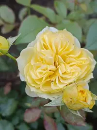 20230912121520.webp