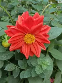 20230912121634.webp
