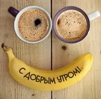 60ba38e897758f94f62be465c3a3b881.webp