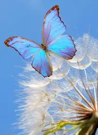 6CAFF0D4-074E-4199-97A0-BE045A82636A.webp