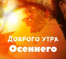 155.webp