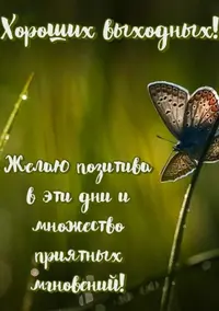 00E2A4A0-08D2-477E-A44E-3F5BCE20F502.webp