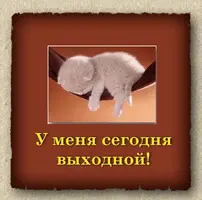 9757E589-1A8B-4A68-AD72-9E1DFC8D8F15.webp